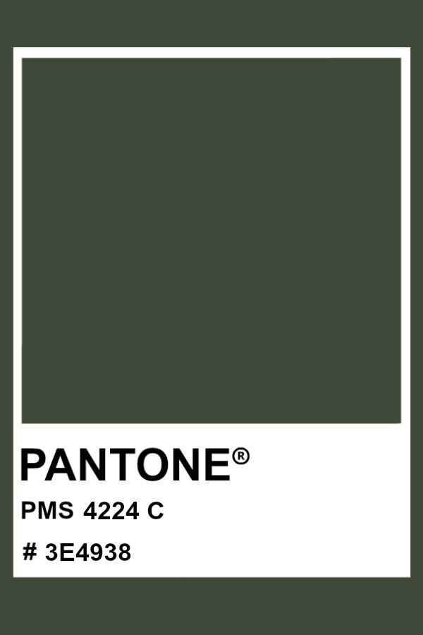 Paz- verde olive